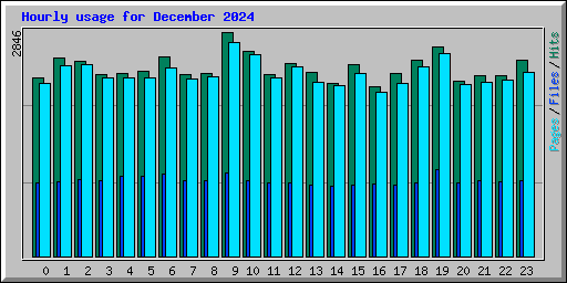 Hourly usage for December 2024