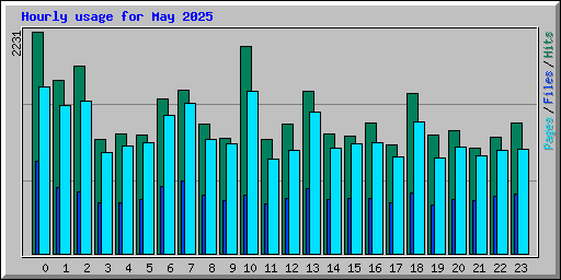 Hourly usage for May 2025