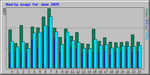 Hourly usage for June 2025