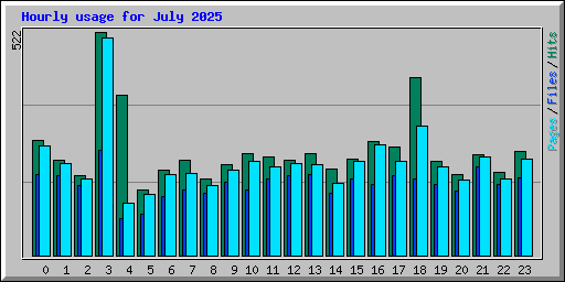 Hourly usage for July 2025